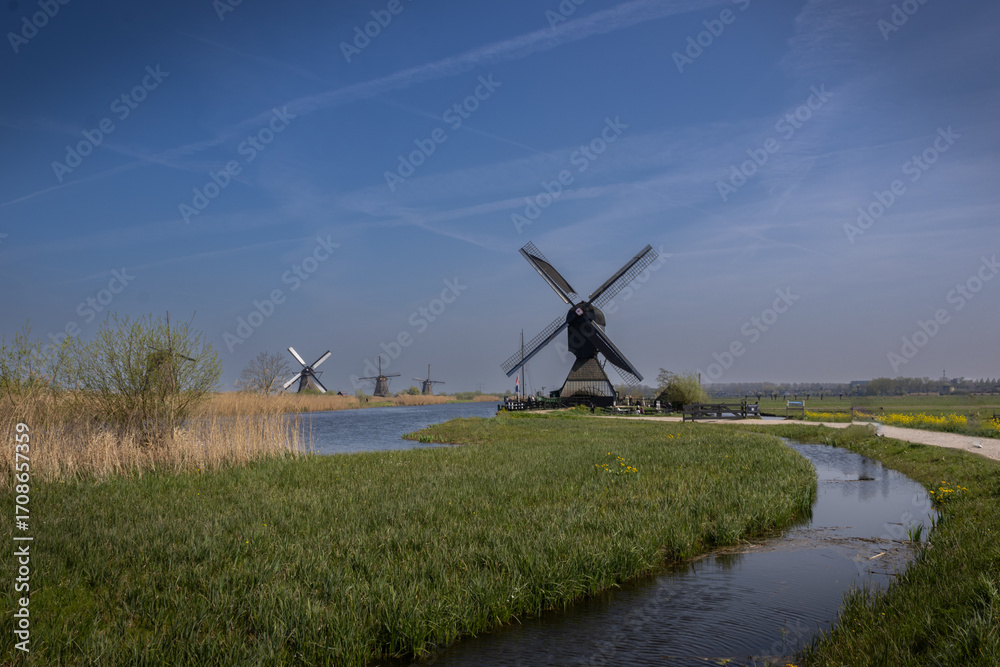 Fototapeta premium Kinderdijk Netherlands Mill