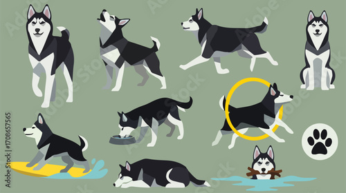 Playful Husky Dog Illustrations – Cute Pet dog Activities, Training, and Poses Vector Set