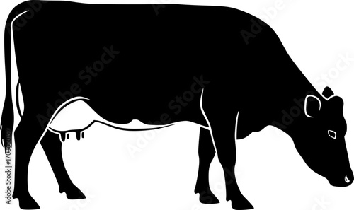 Jersey cow svg, Jersey cow silhouette, Jersey cow vector, Jersey cow clipart, Cow svg, Cow silhouette.