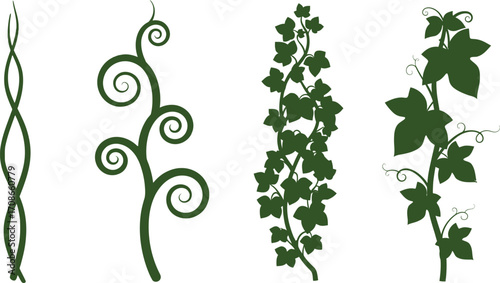 Green vines foliage vector illustration decorative art