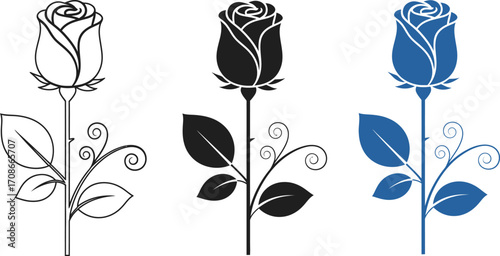 Elegant rose illustrations in outline, silhouette, and color variations
