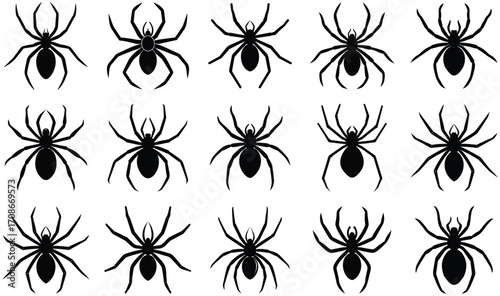 Fifteen black spider silhouettes in various poses on a white background insect arachnid