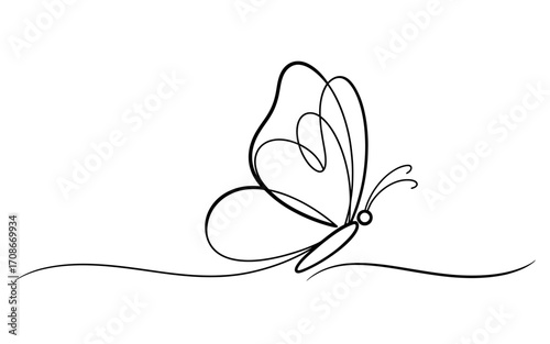 Elegant black and white abstract line art illustration