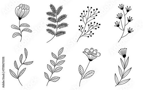 Elegant black and white line art illustration with intricate details