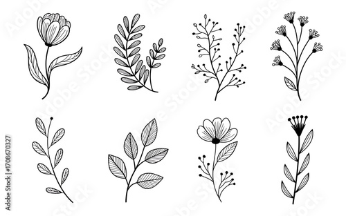 Elegant black and white line art illustration with intricate details