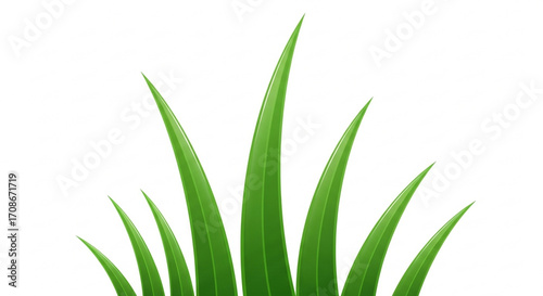 A digital illustration of several vibrant green grass blades, showcasing a modern, minimalist aesthetic.
