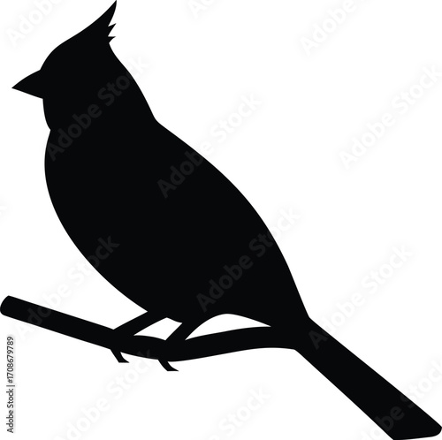 Cardinal Silhouette Vector Illustration of Native Bird Icon for Backyard and Wildlife Nature Design
