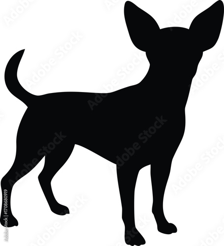Chihuahua Dog Silhouette Vector Illustration of Tiny Popular Breed for Pet and Animal Design