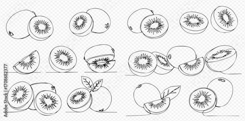 A collection of hand-drawn kiwi fruit illustrations, showcasing whole, halved, and sliced pieces in a minimalist line art style.