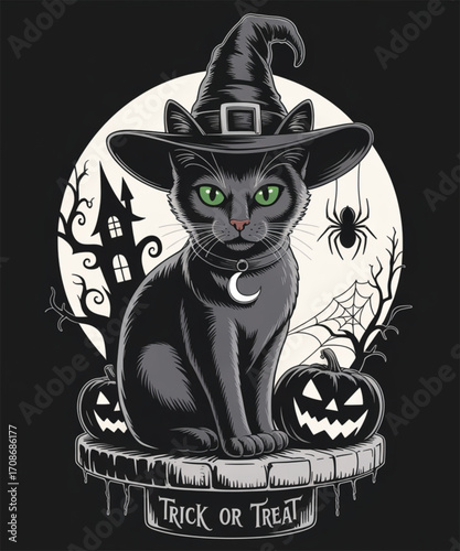 Black cat wearing a witch hat with pumpkins and a haunted house