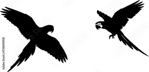 Macaw silhouette, Macaw svg, Macaw parrot silhouette