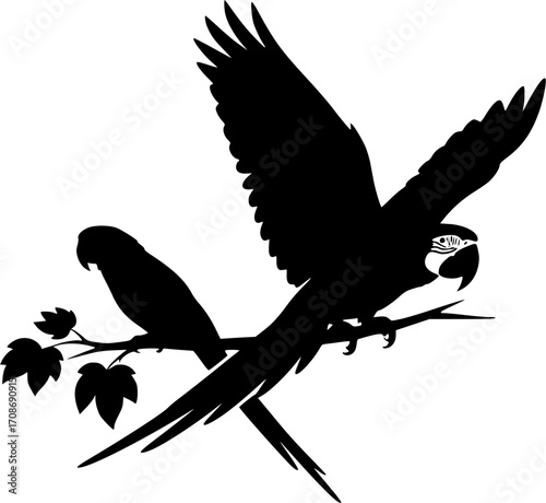 Macaw silhouette, Macaw svg, Macaw parrot silhouette