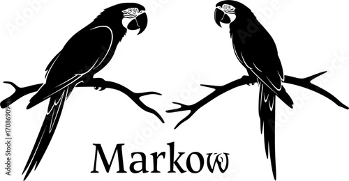 Macaw silhouette, Macaw svg, Macaw parrot silhouette