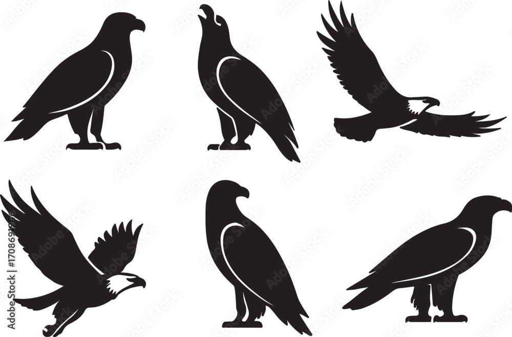 Fototapeta premium A set of vector silhouette illustrations of the Bald eagle flying wild birds
