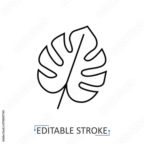 A monstera leaf icon in minimalist style with editable stroke. Tropical plant, botanical element, exotic foliage, nature design, interior decor, organic shape, jungle greenery, tropical symbol.