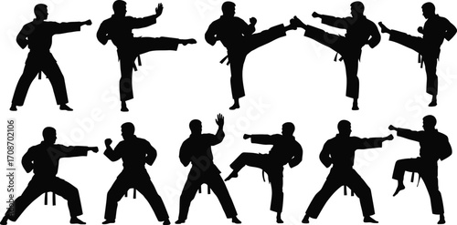 Karate moves silhouettes martial arts training poses set editable vector
