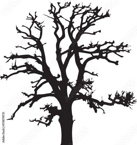 Silhouette of a bare, gnarled tree with intricate branches against a white background