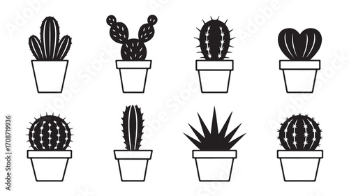 Vector cactus plants in pots line art illustration for decoration and design elements botanical drawing