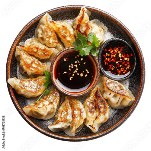 Delicious Pan-Fried Dumplings with Soy Sauce and Chili Oil Served on a Decorative Plate on transparent background