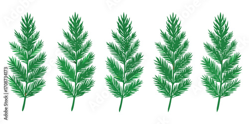 Five Green Fir Branches with Needles. Including fir, branch, needle, green, plant, nature, evergreen vector illustration. 