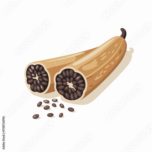 Cardamom Pod with Seeds Vector Illustration