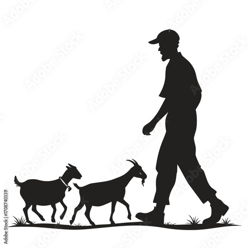 Tableau sur toile Farmer walking with goats