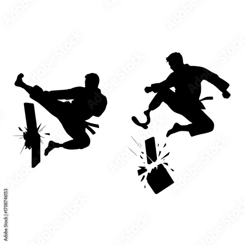 Dynamic martial artists execute powerful kicks, shattering boards with impressive force and athletic prowess.