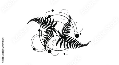 Elegant fern frond arrangement with abstract geometric shapes and circles, symbolizing nature and design.
