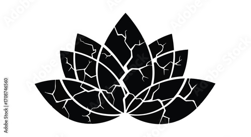 Symbol of broken serenity, a cracked black lotus flower.