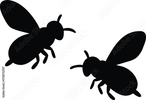 vector illustration of a bee