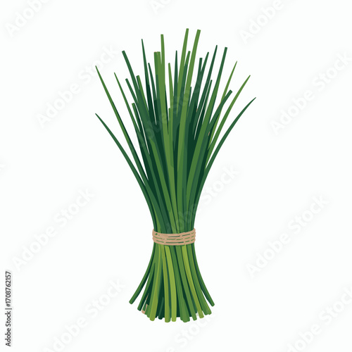 Fresh Chives Bundle Vector Illustration