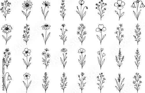Collection of hand-drawn floral illustrations, perfect for delicate craft projects.