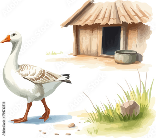 Goose in the poultry yard watercolor vector illustration.
