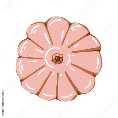 Cute pink pumpkin isolated on white background. Vector flat illustration. Autumn decor element and Halloween attribute. Vector illustration