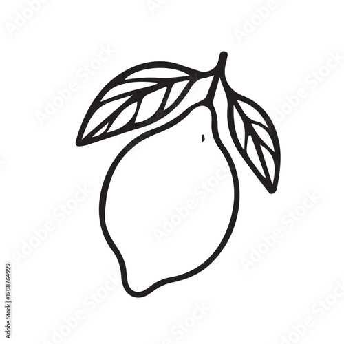 A simple black and white vector of lemon lime fruit, defined with strong black outlines, emphasizing clean structure, fresh design, and simplicity.