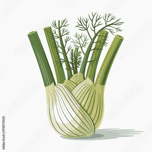 Fresh Fennel Bulb with Stalks and Flowers Vector Illustration