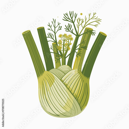 Fresh Fennel Bulb with Stalks and Flowers Vector Illustration