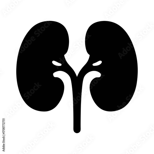 Kidney health anatomy medical renal system urology nephrology organ diagram healthcare kidneys human