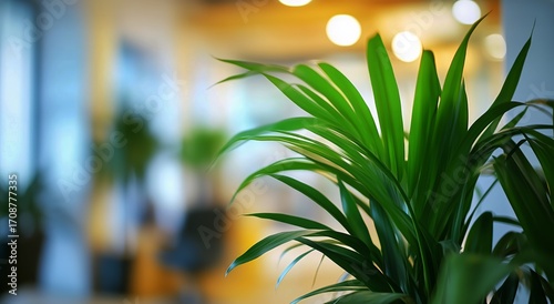 Green Leaves Bask in Sunlight Inside a Modern Interior Garden During the Afte...