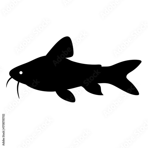Silhouette of a Catfish Swimming in the Deep Waters of a River