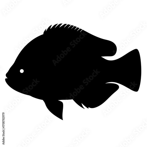 Monochrome image of a fish with distinct features and fins in profile