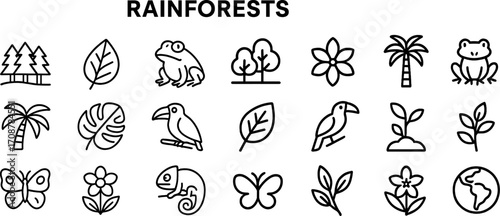 Illustrations of rainforest life with various flora and fauna, showcasing biodiversity and ecosystems