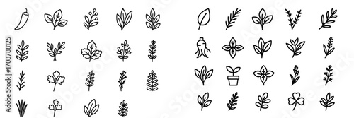 Collection of simple line drawings of various plants and leaves arranged in a grid pattern