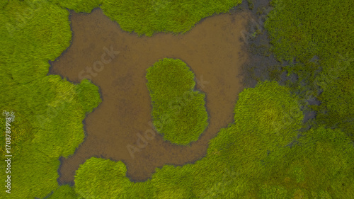 Aerial view of Icelandic wetlands with a brown pond and a small oval shaped island surrounded by green vegetation and marshland