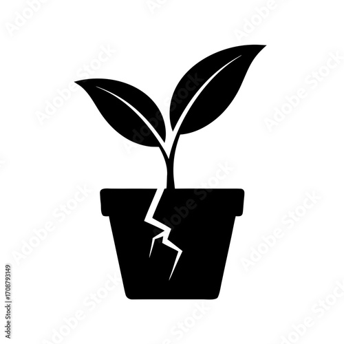 Small plant growing in a cracked pot, symbolizing resilience the ability to thrive despite adversity