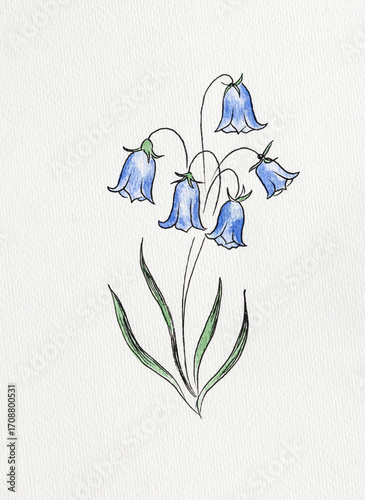Blue Flowers illusstration