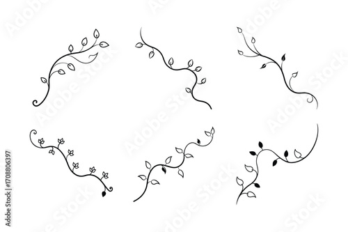 long flowing vine with scattered leaf clusters vector set