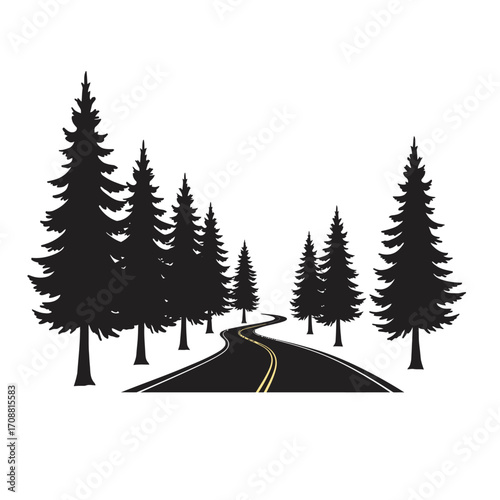 Winding asphalt road through a dark evergreen forest with a yellow dividing line