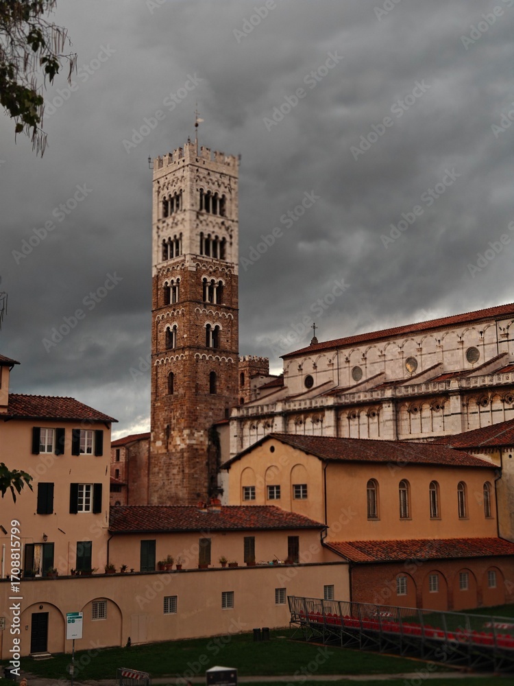 Fototapeta premium Tower in Lucca , italy