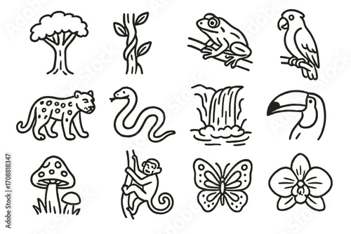 Jungle animals linear icon set. featuring tree, vine, frog, parrot, jaguar, snake, waterfall, toucan, mushroom, monkey, butterfly, orchid